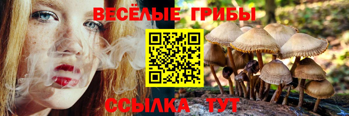 Псилоцибиновые грибы мицелий Москва