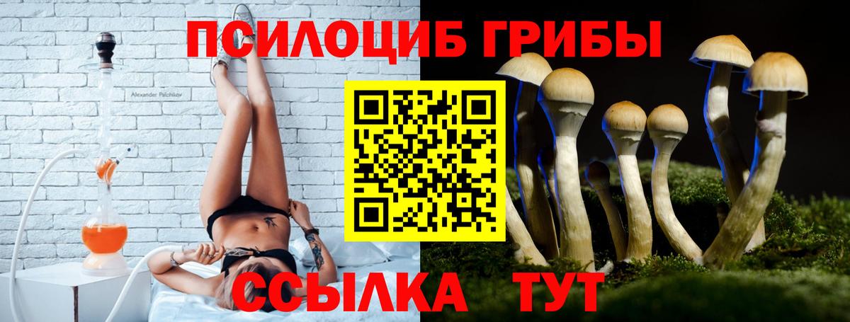 Москва  Галлюциногенные грибы GOLDEN TEACHER  Вход с VPN 